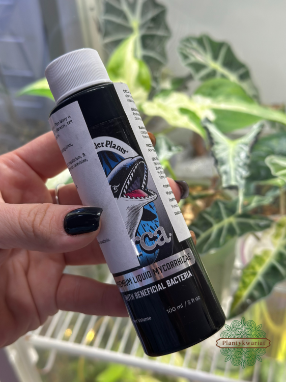 Mikoryza w płynie Orca 100ml