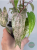 9.png