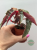 Begonia Ginny Galaxy Variegata #2