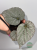 Begonia Grey Earl