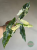 Alokazja (Alocasia) Simpo Albo