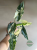 Alokazja (Alocasia) Simpo Albo