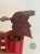 Begonia Robin