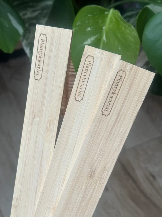 Deseczki busz.busz plantykwariat